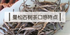 2020年曼松古樹茶特點